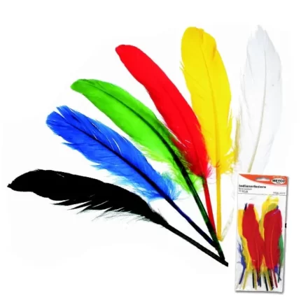 ΦΤΕΡΑ INDIAN ΜΕΓΑΛΑ 27-30cm 12τεμ.