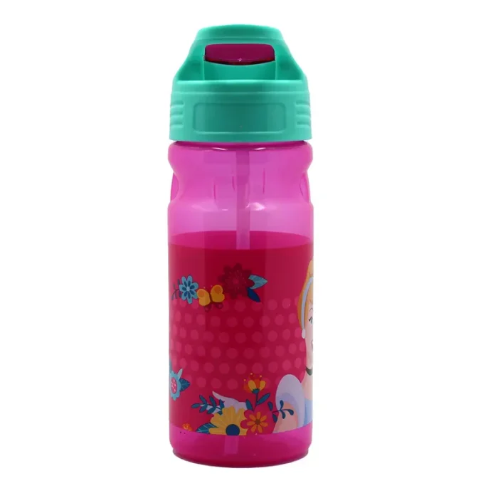 GIM ΠΑΓΟΥΡΙ DISNEY PRINCESS SPRING 500 ML